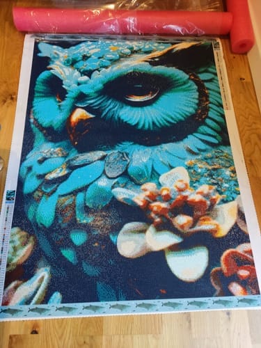Customer photo review of Owl Turquoise | Diamond Painting Kit