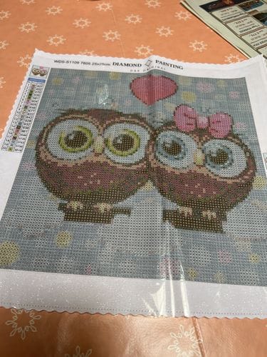 Customer photo review of Owl couple | Diamond Painting Kit