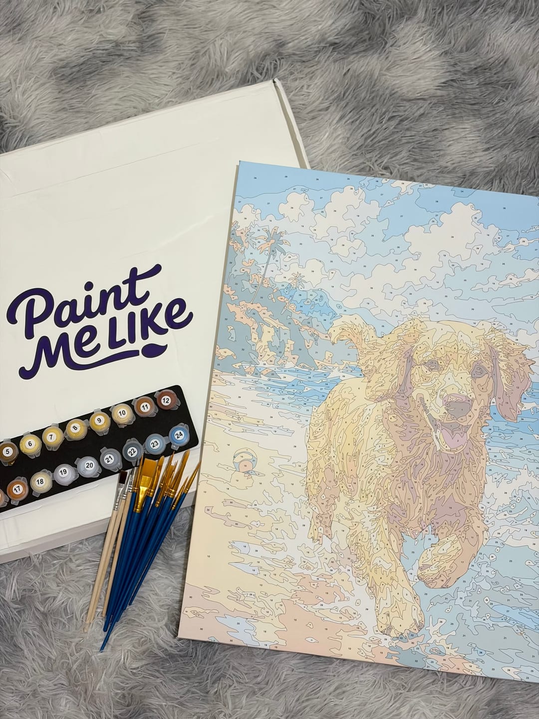 Customer photo review of Custom Paint by Numbers Kit