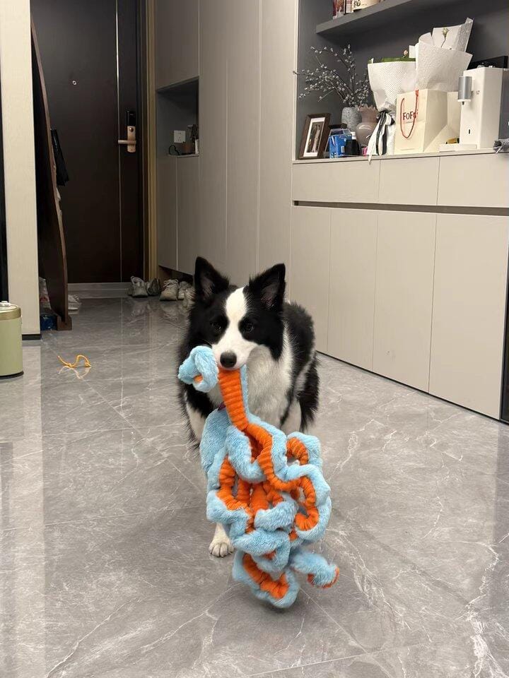Customer photo review of Big Octopus - Interactive Plush Squeaky Dog Toy