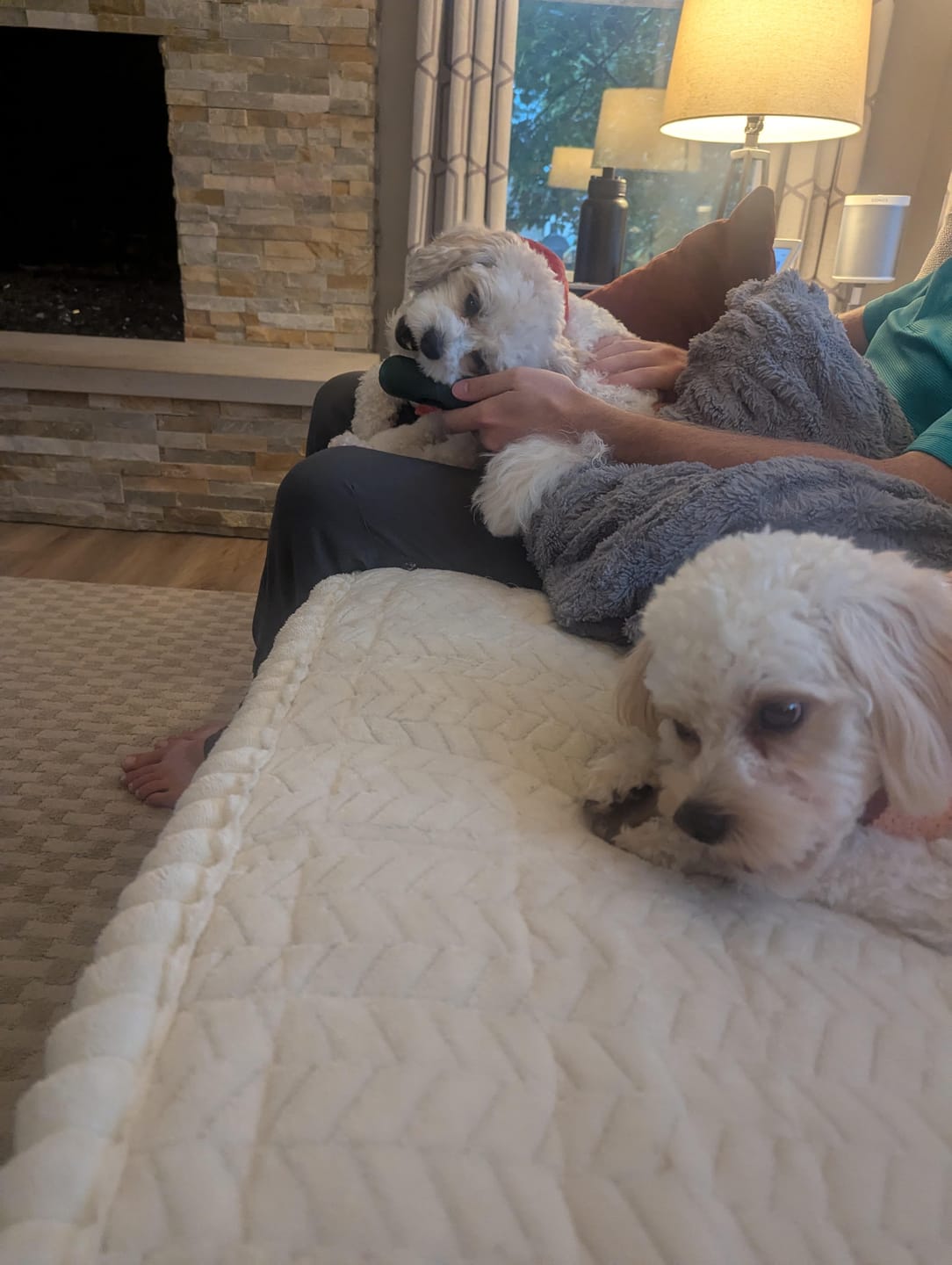 Customer photo review of Wholly Pup Gift Card