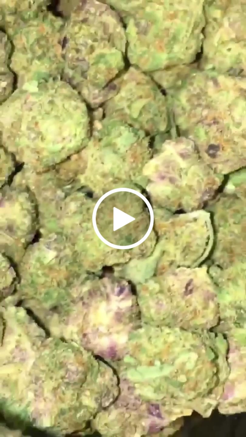 Customer video review of Super Boof (Indoor Smalls) - THCA Flower