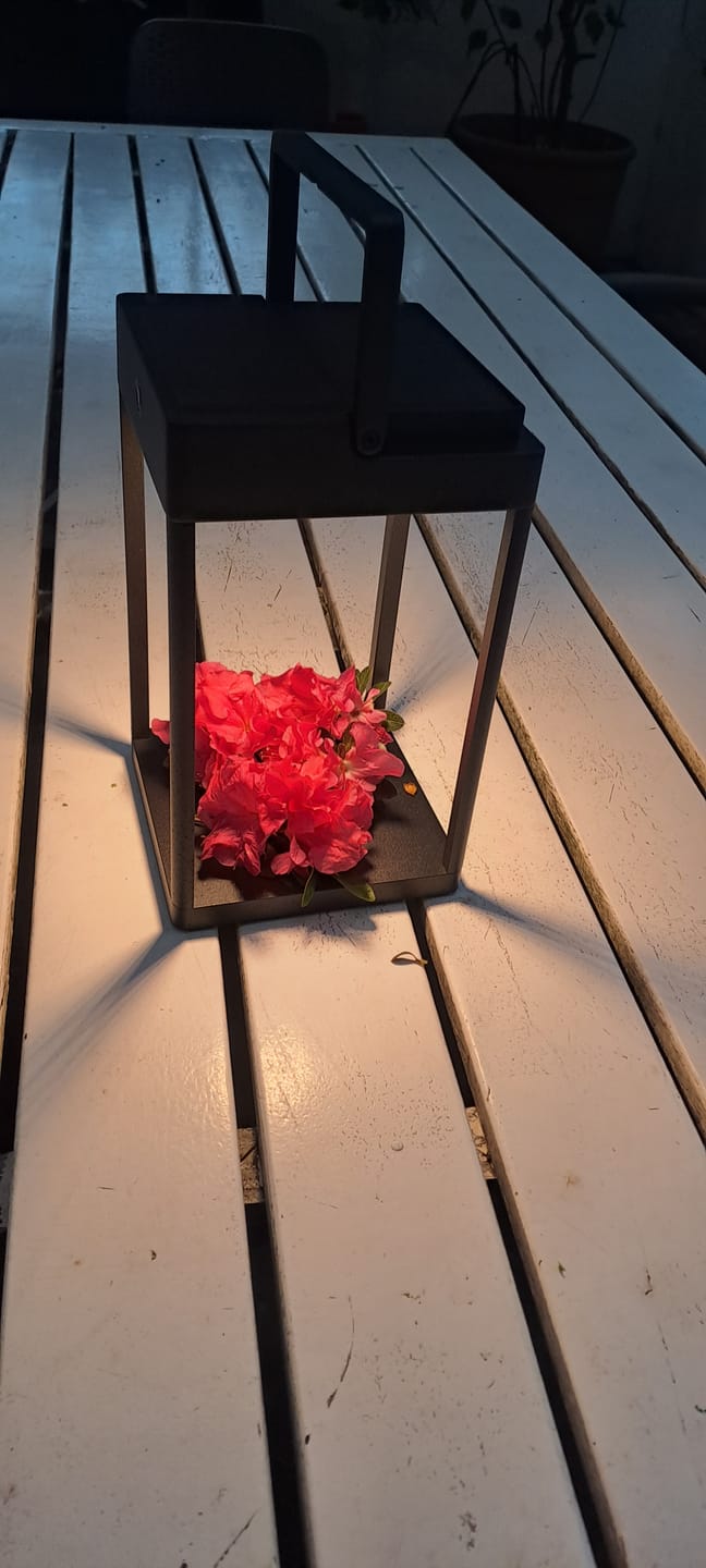 Customer photo review of Luxury Metal Solar Lantern