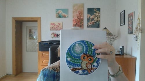 Customer photo review of Owl on branch | Diamond Painting Lamp Kit