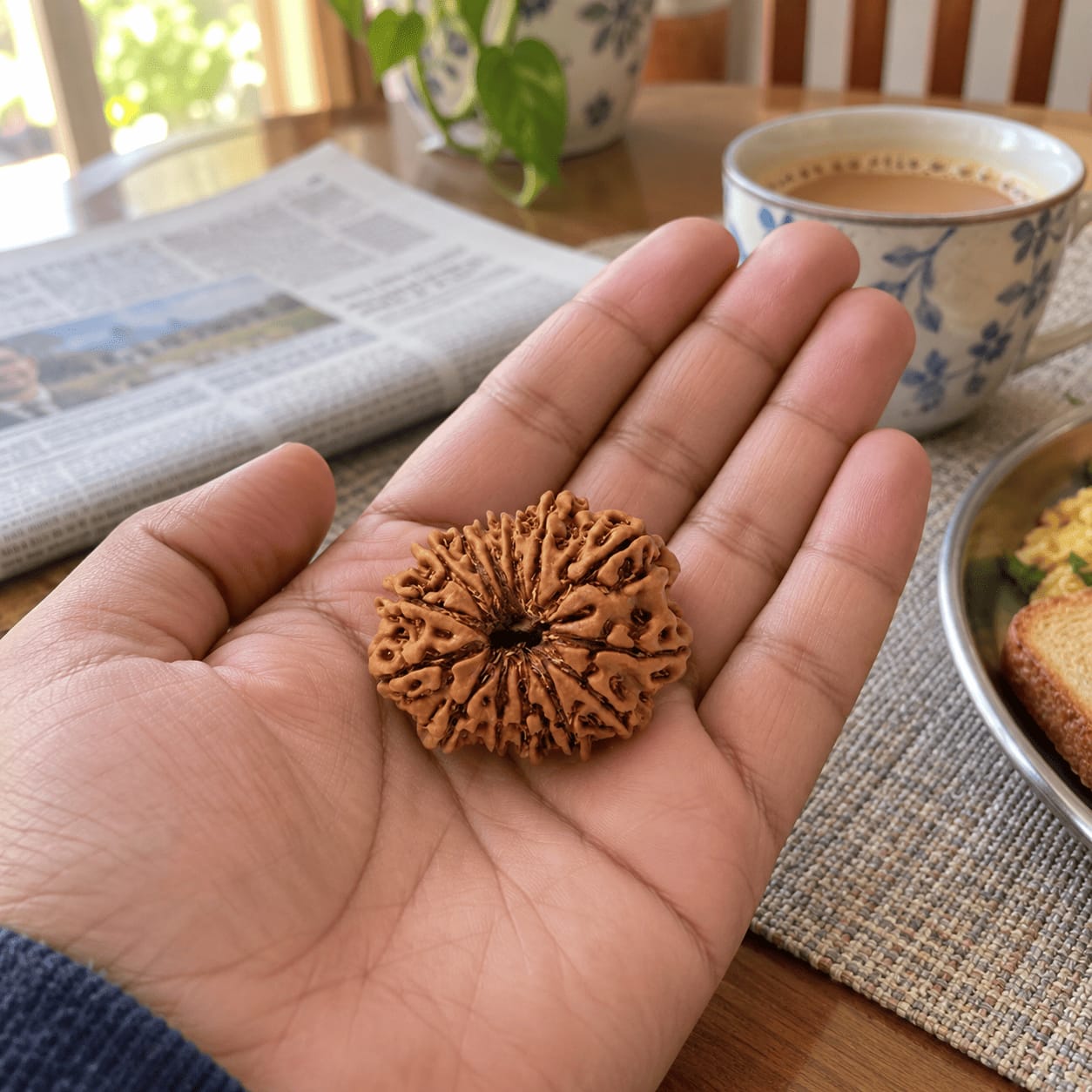 Customer photo review of 13 Mukhi Rudraksha (Nepali)