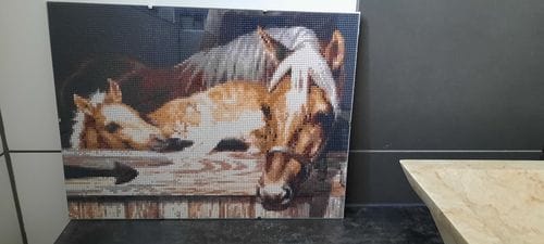 Customer photo review of Horses and a Cat | Diamond Painting Kit