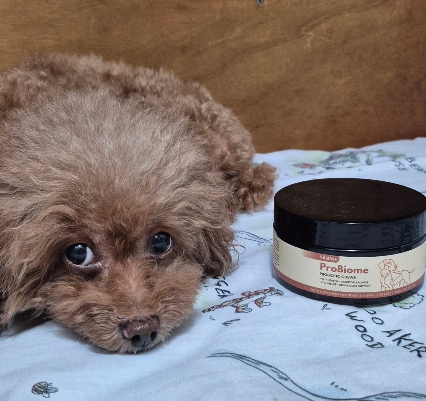Customer photo review of ProBiome™狗狗益生菌軟粒