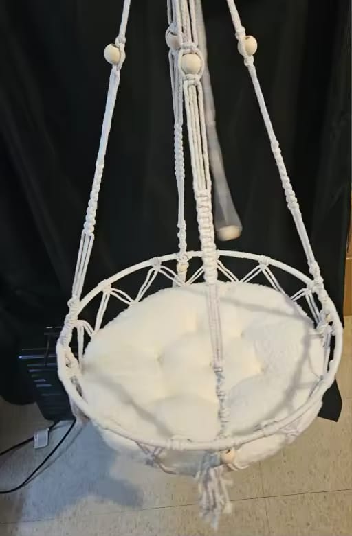 Customer photo review of Hammock Cat Bed