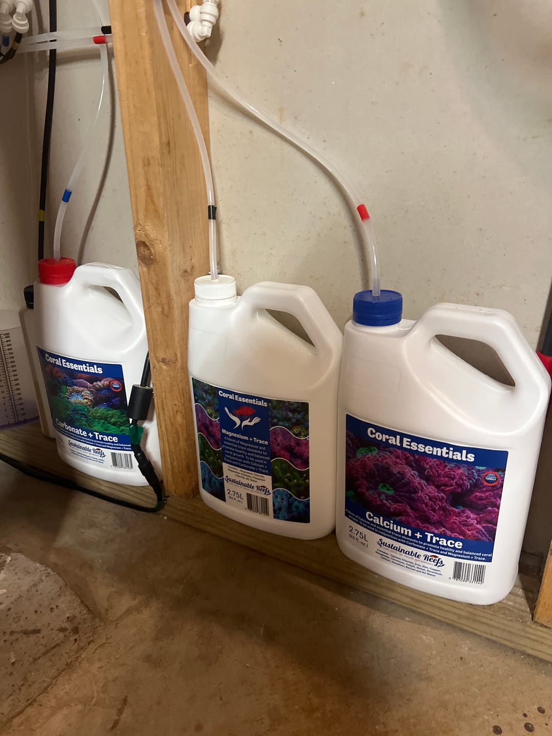 Customer photo review of Coral Essentials 2 Part + Magnesium and Traces 2.75L