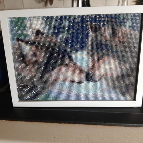 Customer photo review of Wolves Following a Scent | Diamond Painting Kit