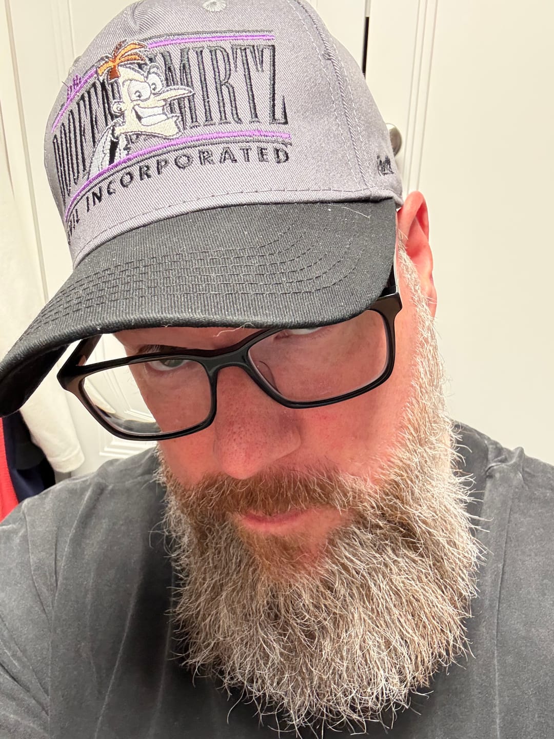Customer photo review of Disney’s Phineas and Ferb "Doofenshmirtz Evil Incorporated" – 5-Panel Hat