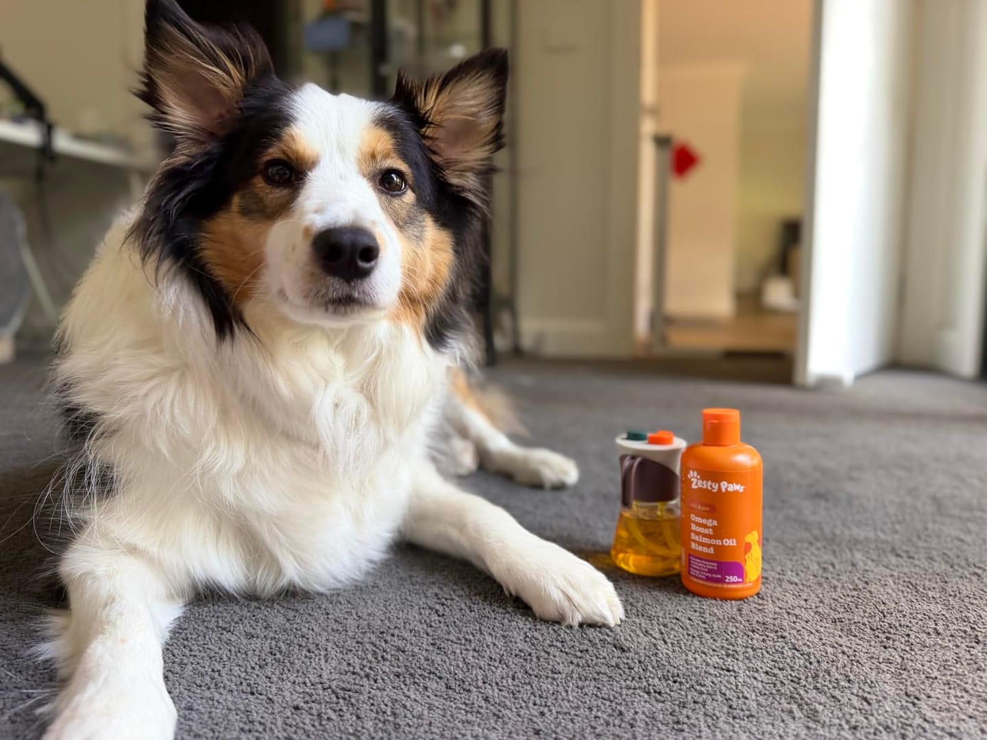 Customer photo review of Wild Alaska Omega-3 Pet Oil