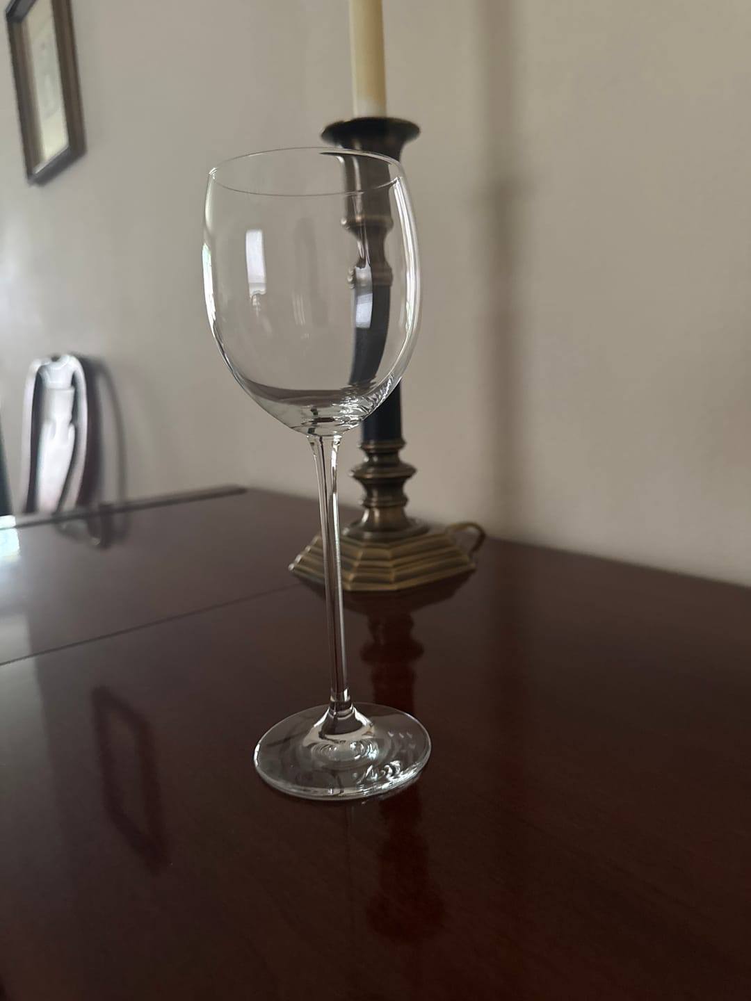 Customer photo review of Schott Zwiesel Excelsior White Wine Glass