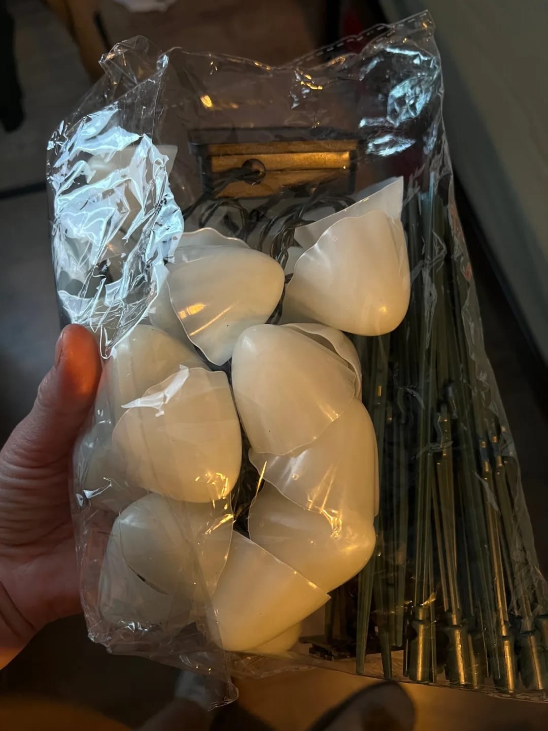 Customer photo review of Colourful String Lights for Garden, Solar Mushroom, 350 cm