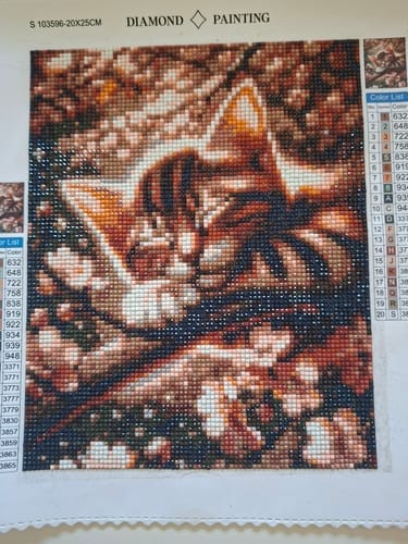 Customer photo review of Sleeping kitten | Diamond Painting Kit