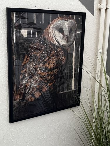 Customer photo review of Owl surrounded by wood | Diamond Painting Kit