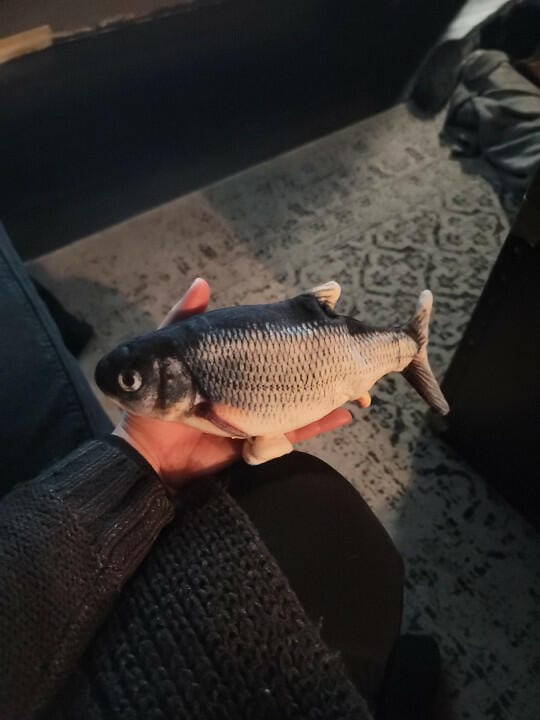 Customer photo review of Floppy Fish - Interactive Dog Toy
