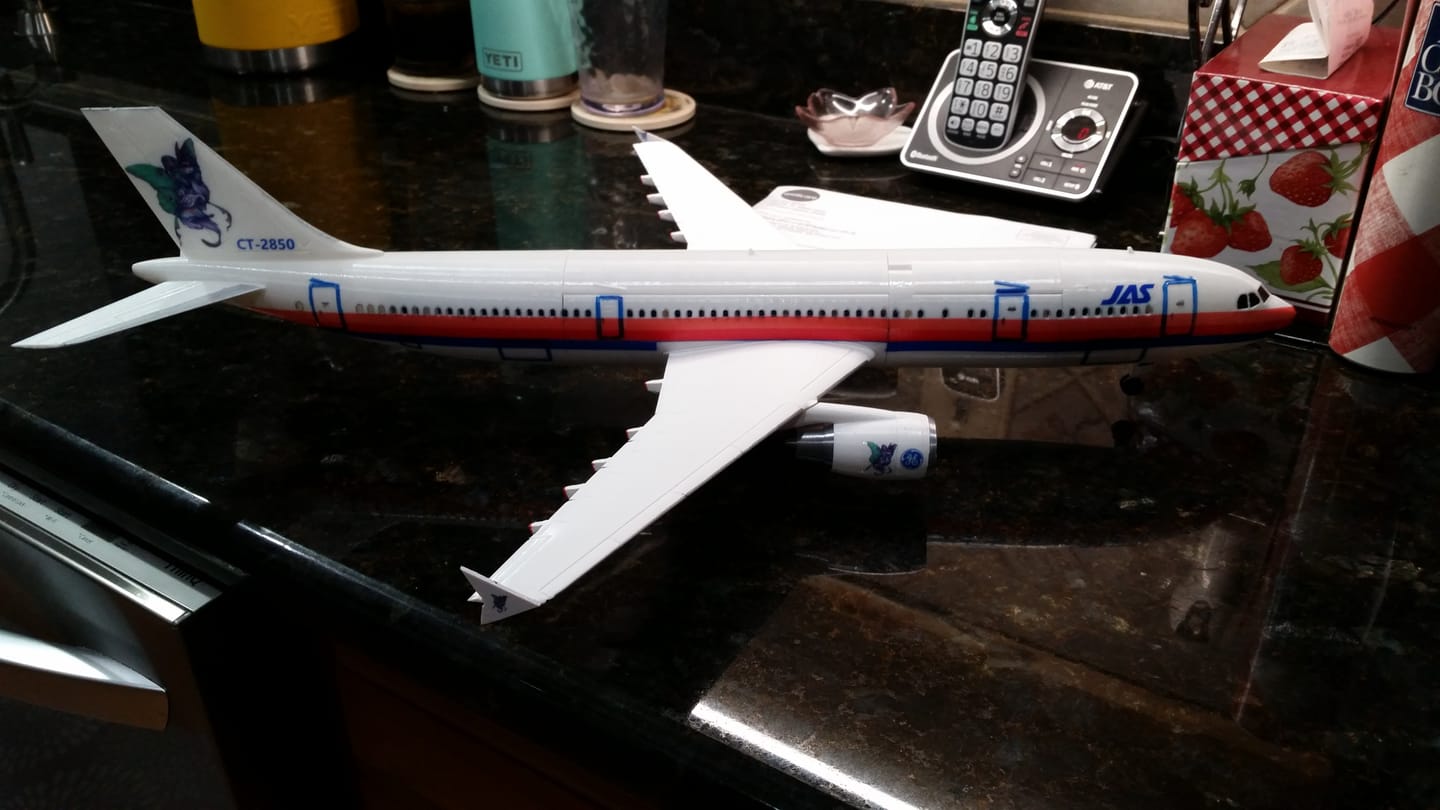 Customer photo review of A300 style aircraft model (1/100 scale)