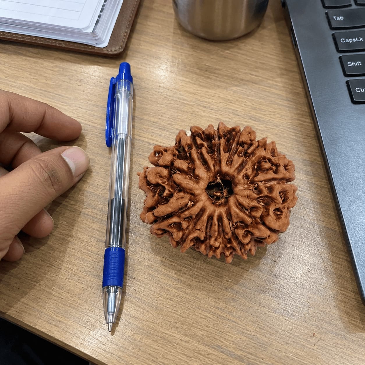 Customer photo review of 12 Mukhi Rudraksha (Nepali)