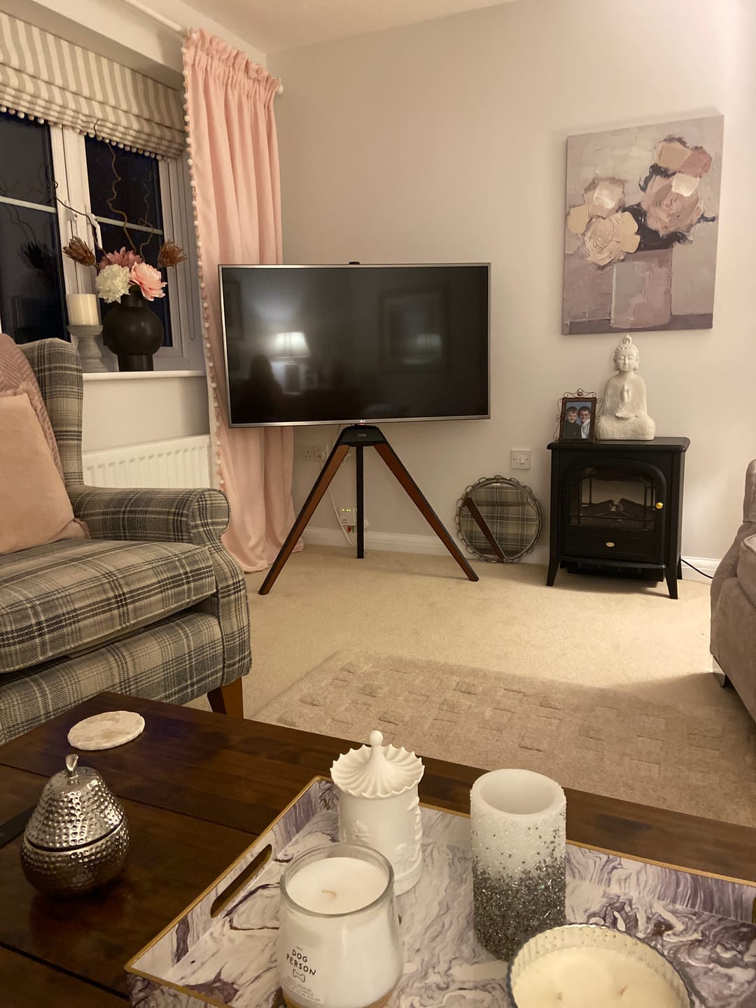 Customer photo review of Picasso FT65 Floor TV Stand
