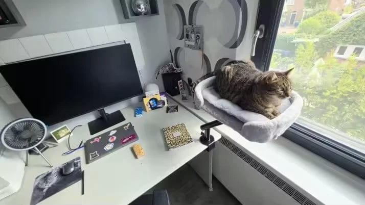 Customer photo review of Cat Desk Bed