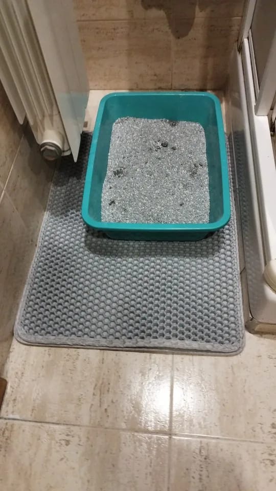 Customer photo review of The MiloPaw™ Ultimate LitterGuard