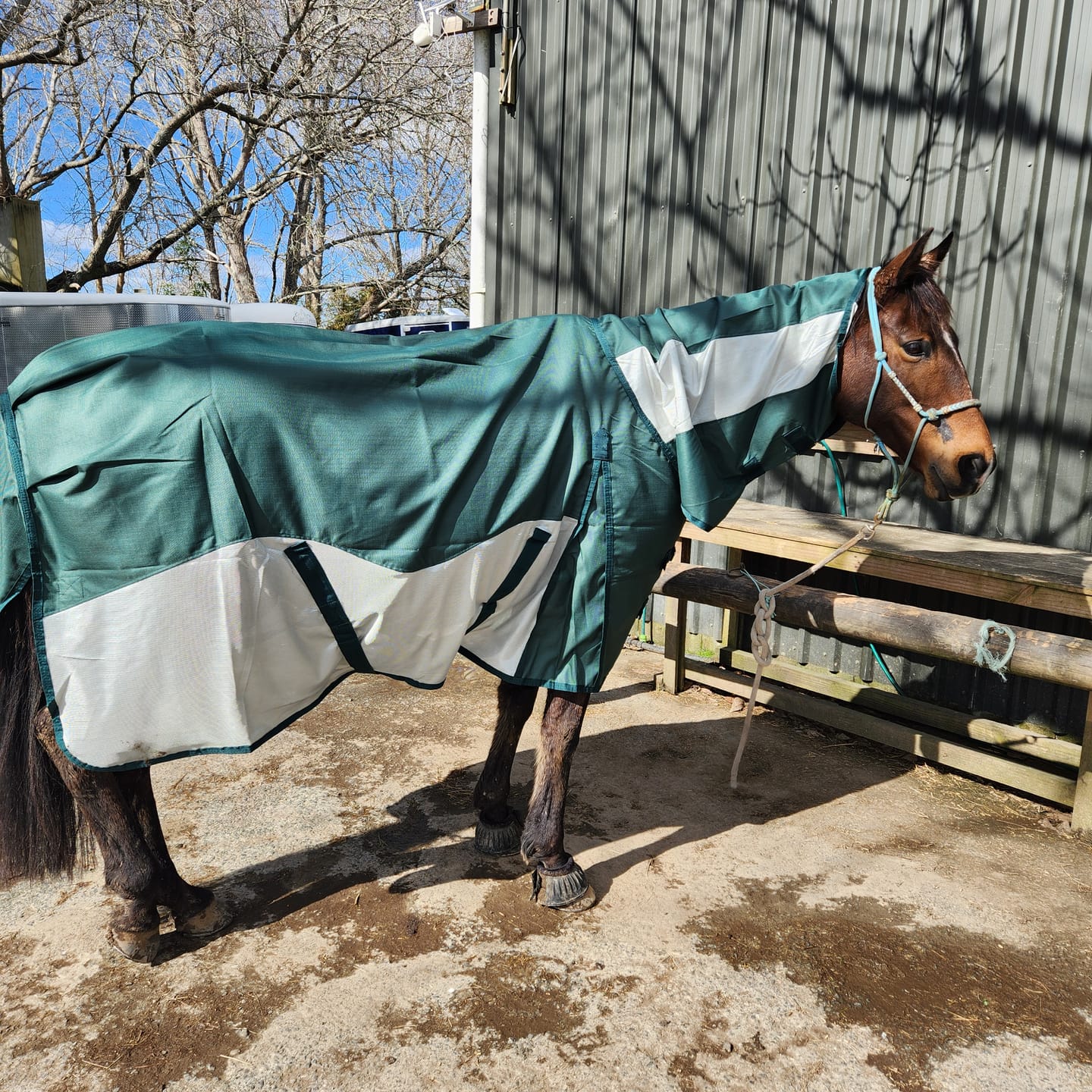 Customer photo review of NZ Tack WaterProof Mesh CrossOver Combo Green