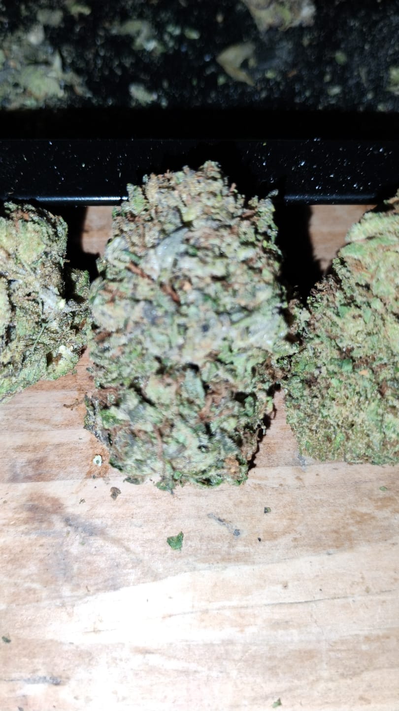 Customer photo review of Blue Crack THCA Flower
