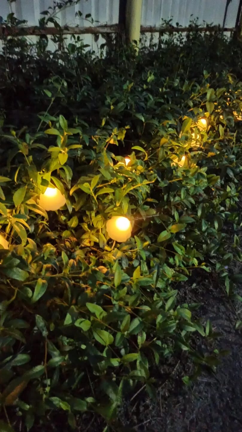 Customer photo review of Colourful String Lights for Garden, Solar Mushroom, 350 cm