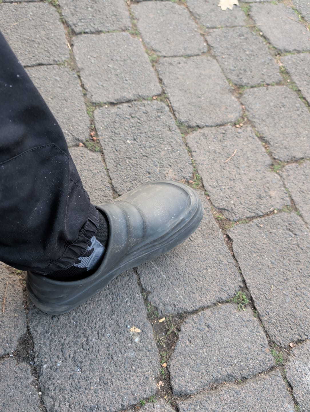 Customer photo review of Cloggies Klassisch – Gesunde und rutschfeste Komfort-Clogs