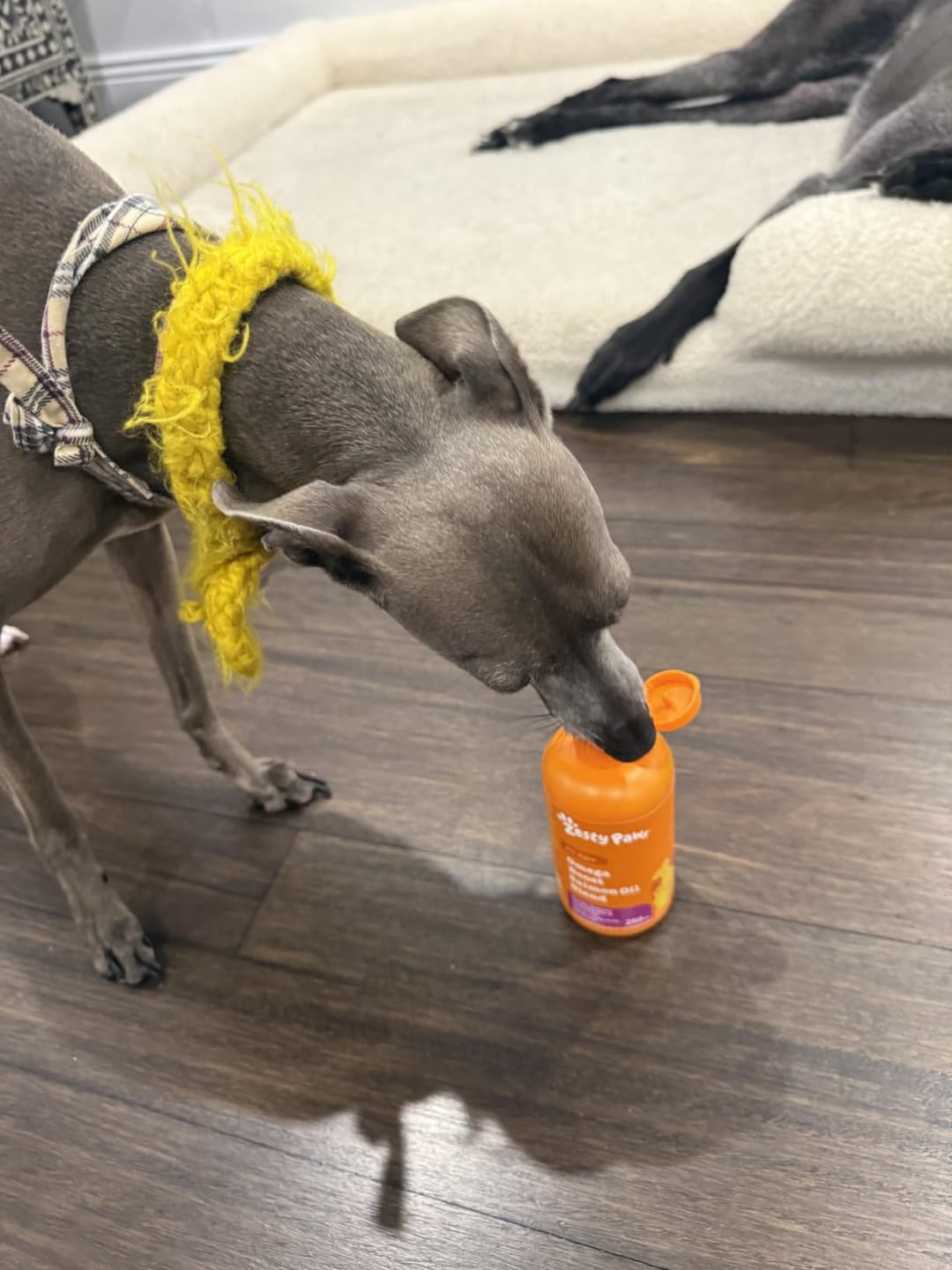 Customer photo review of Wild Alaska Omega-3 Pet Oil