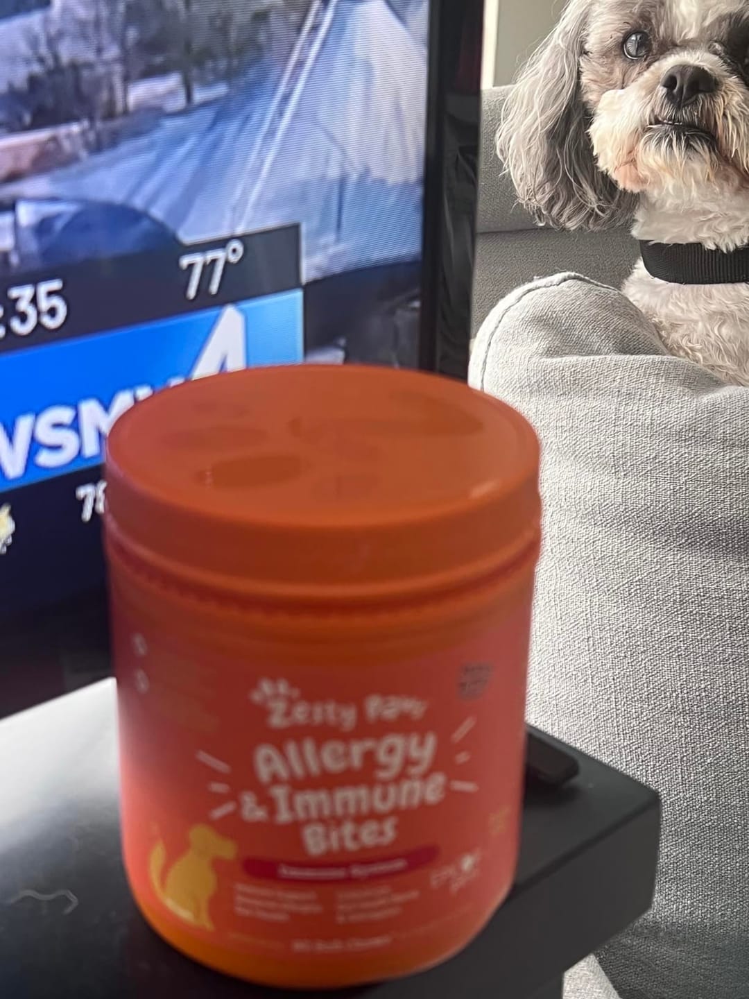 Customer photo review of Allergy & Gut Balance Chews for Dogs