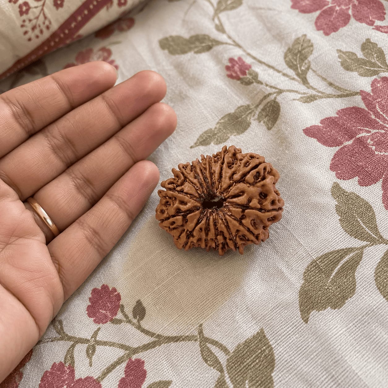 Customer photo review of 13 Mukhi Rudraksha (Nepali)