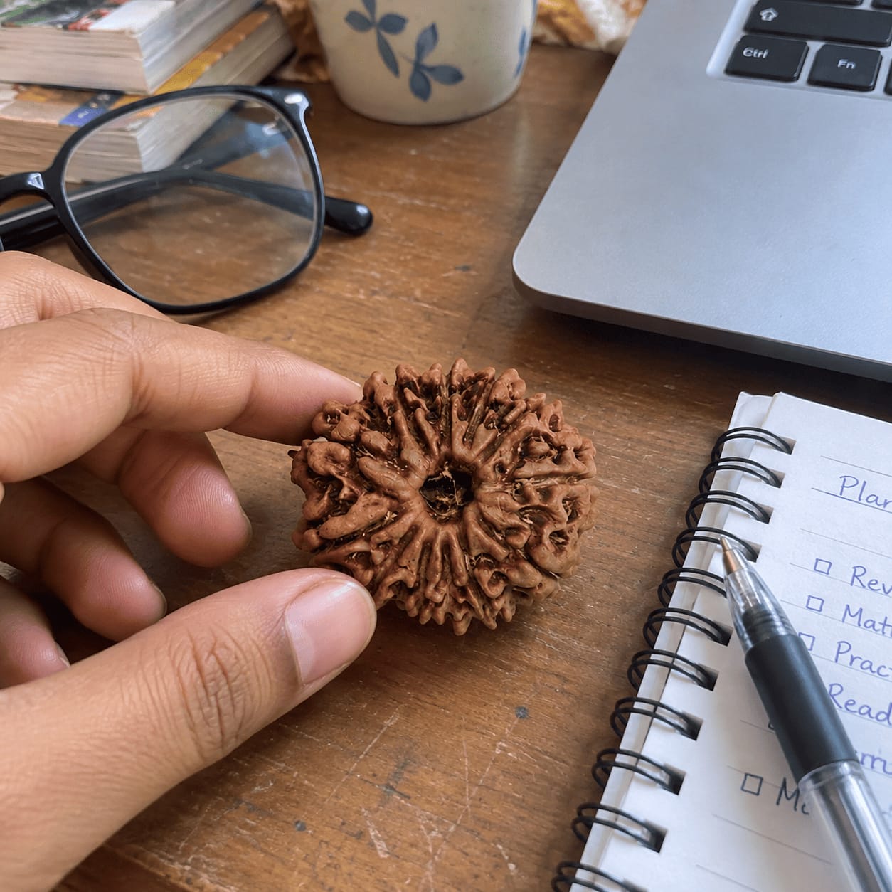 Customer photo review of 12 Mukhi Rudraksha (Nepali)