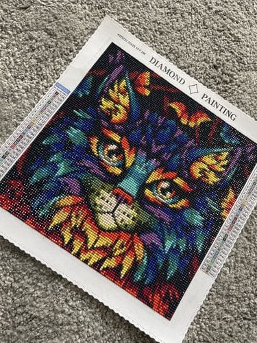 Customer photo review of Surprise Design | Mystery Diamond Painting Kit
