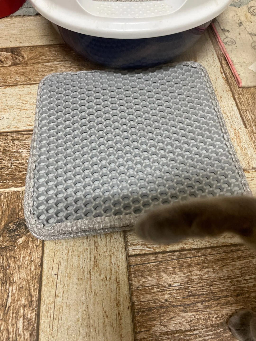 Customer photo review of The MiloPaw™ Ultimate LitterGuard