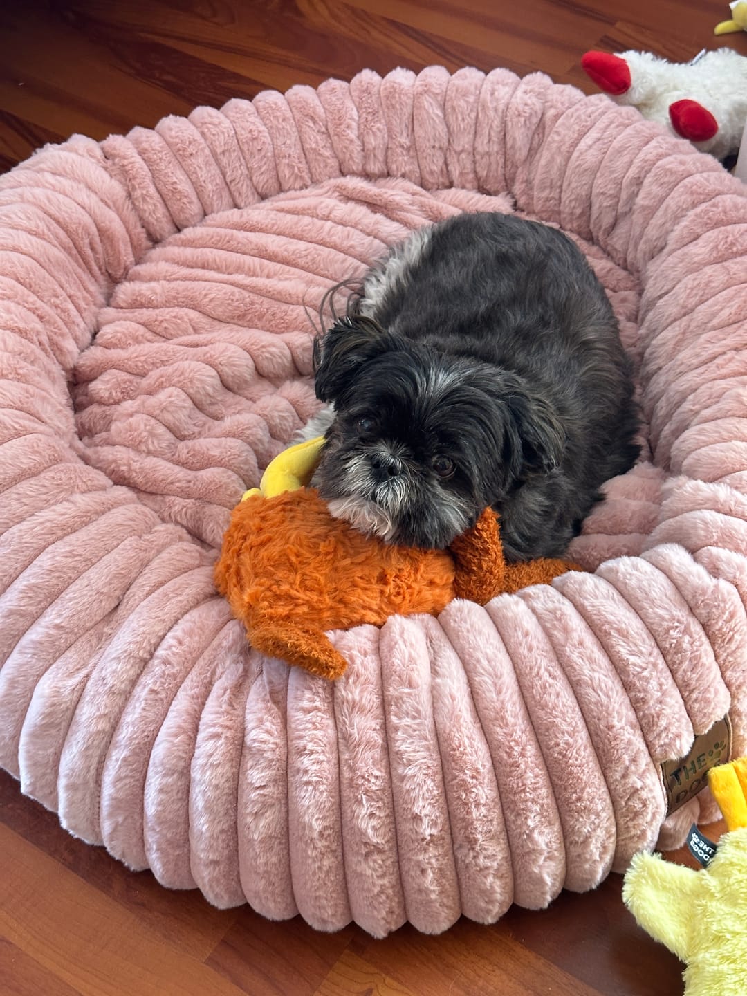Customer photo review of Trío de Calma THE DOGS — Gallina + Pato + Oveja