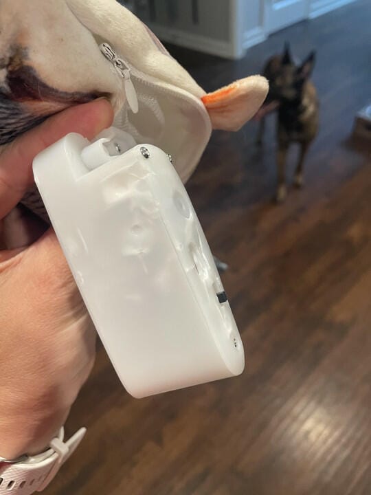 Customer photo review of Floppy Fish - Interactive Dog Toy