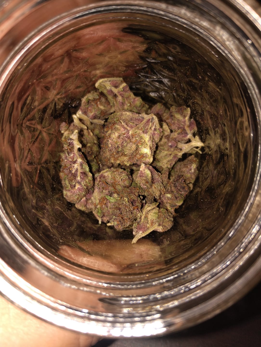 Customer photo review of Tropicana Cherry THCA Flower
