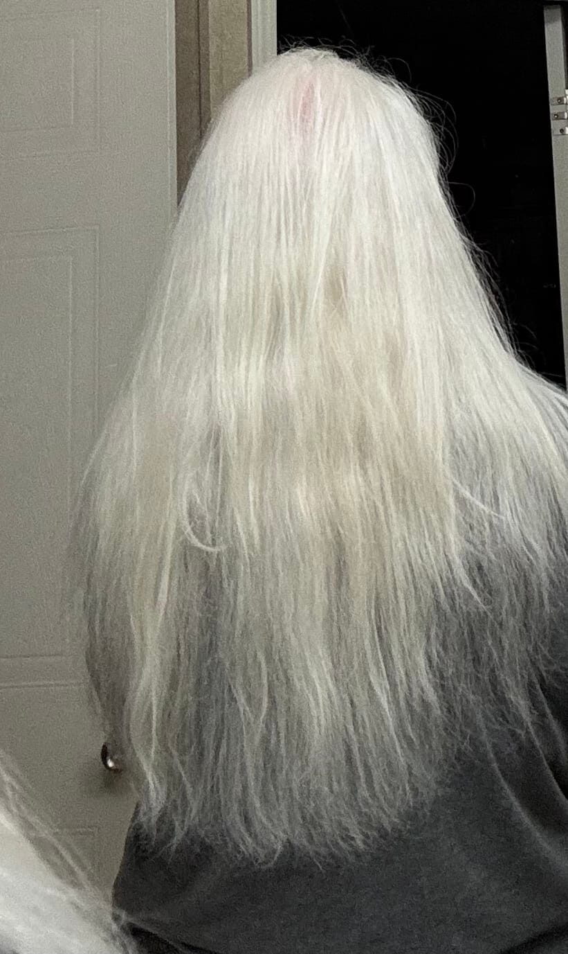 Customer photo review of Purple Shampoo