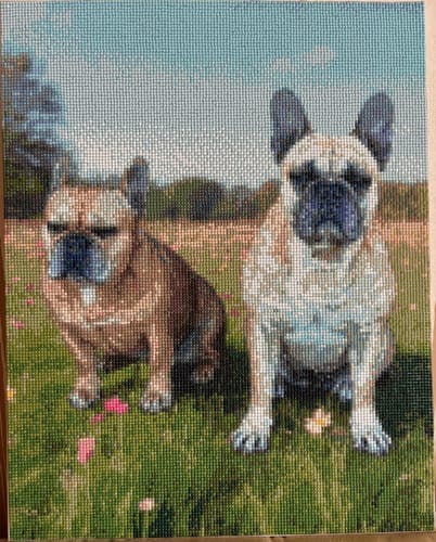 Customer photo review of Your Photo | Custom Photo Diamond Painting Kit