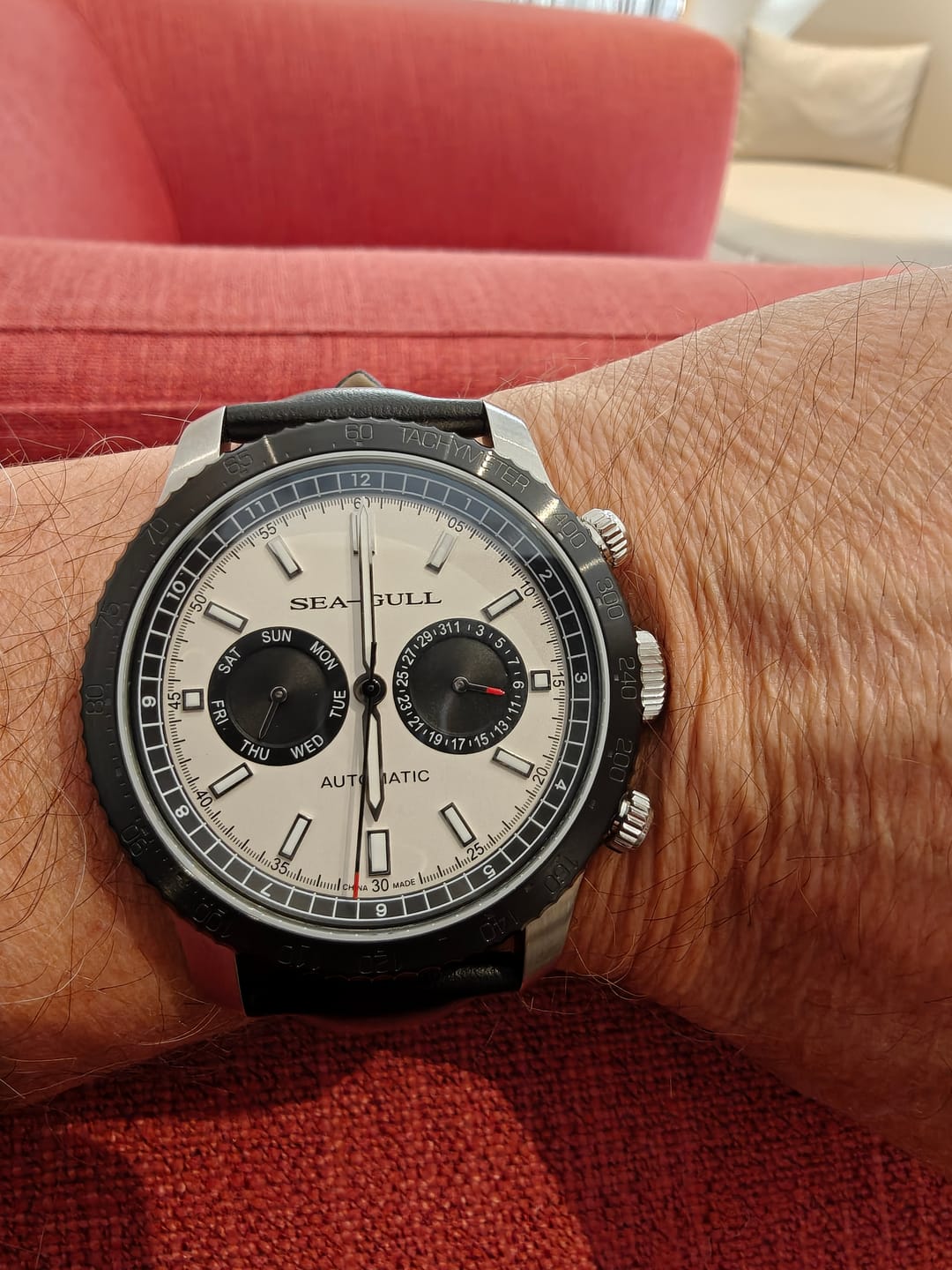 Customer photo review of Panda Eye | GMT | Dual Calendar | Tachymeter | 43mm