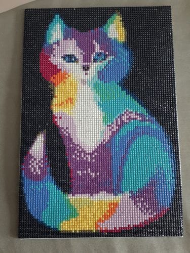 Customer photo review of Surprise Design | Mystery Diamond Painting Kit