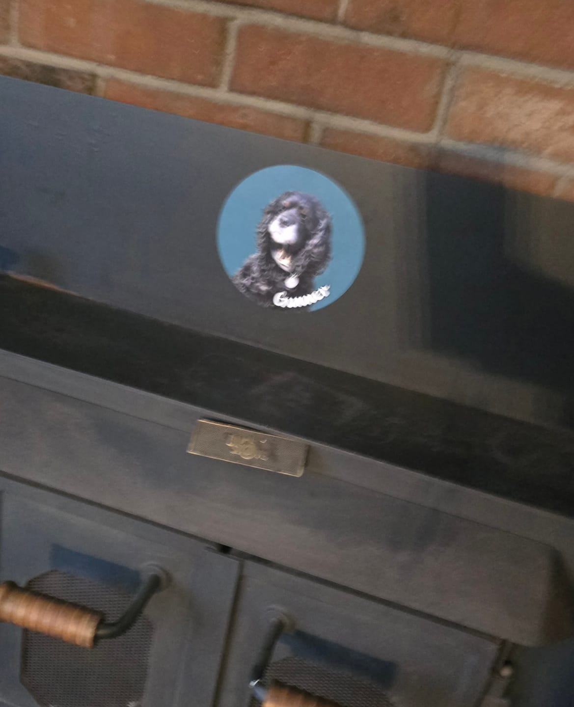 Customer photo review of Your photo - Personalized Car Magnet
