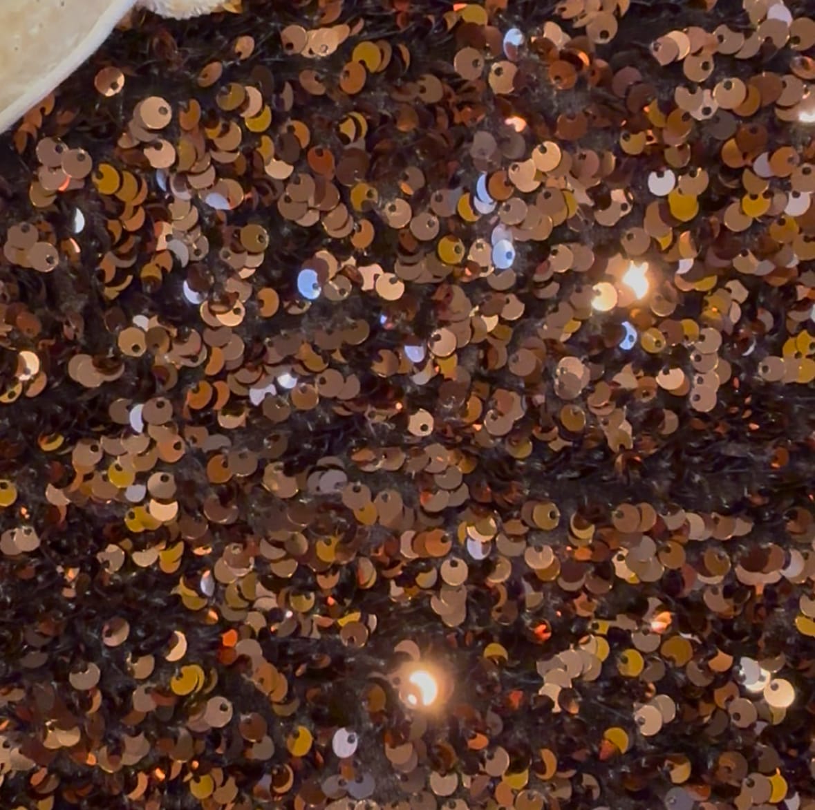Customer photo review of Chocolate Brown Sequin on Velvet