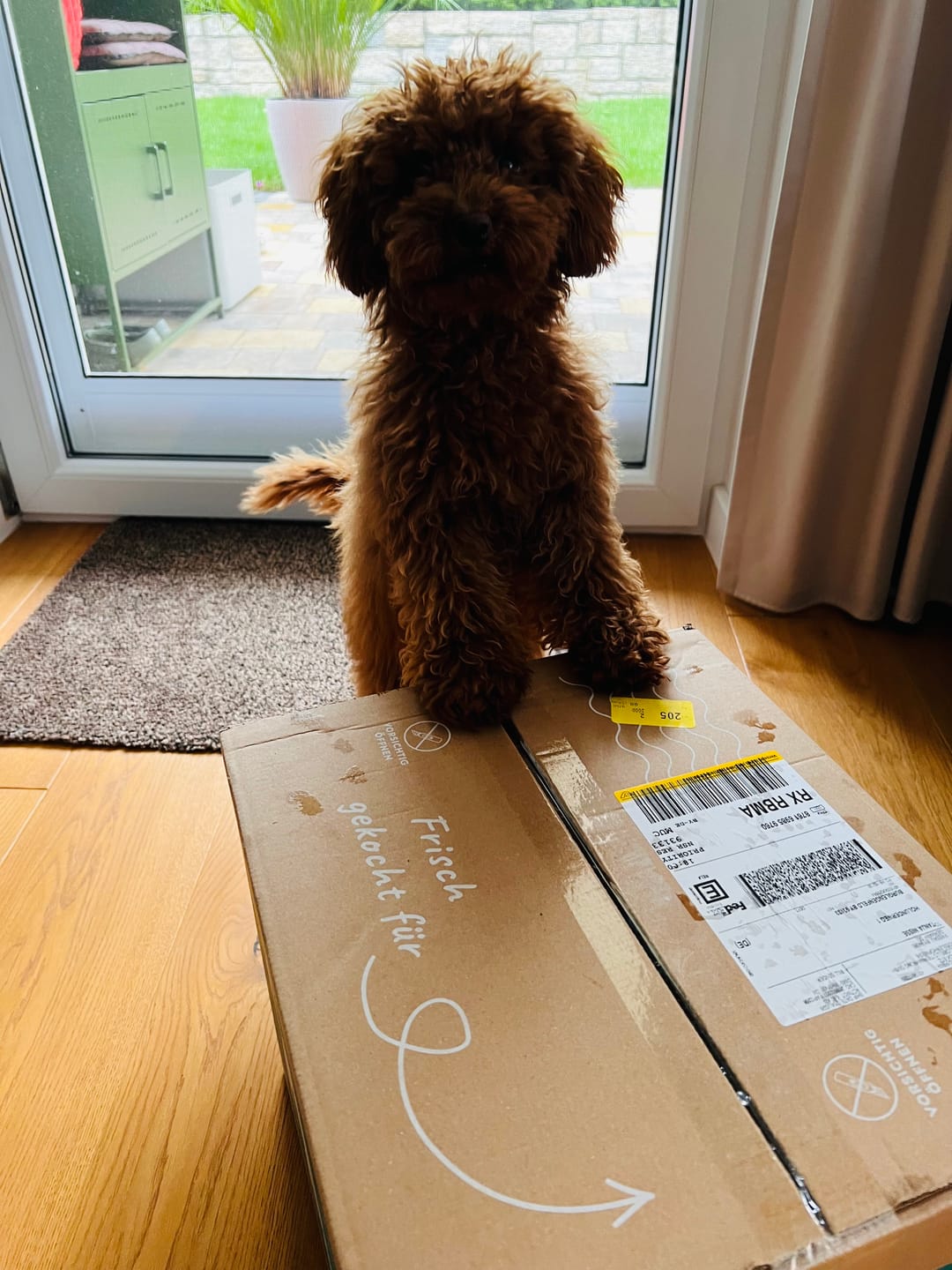 Customer photo review of Frischfutter für Energiebedarf von 236 kCal/Tag