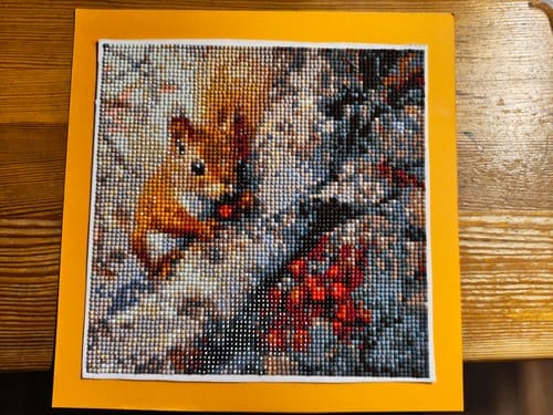 Customer photo review of Squirrel in the Autumn Branches | Diamond Painting Kit