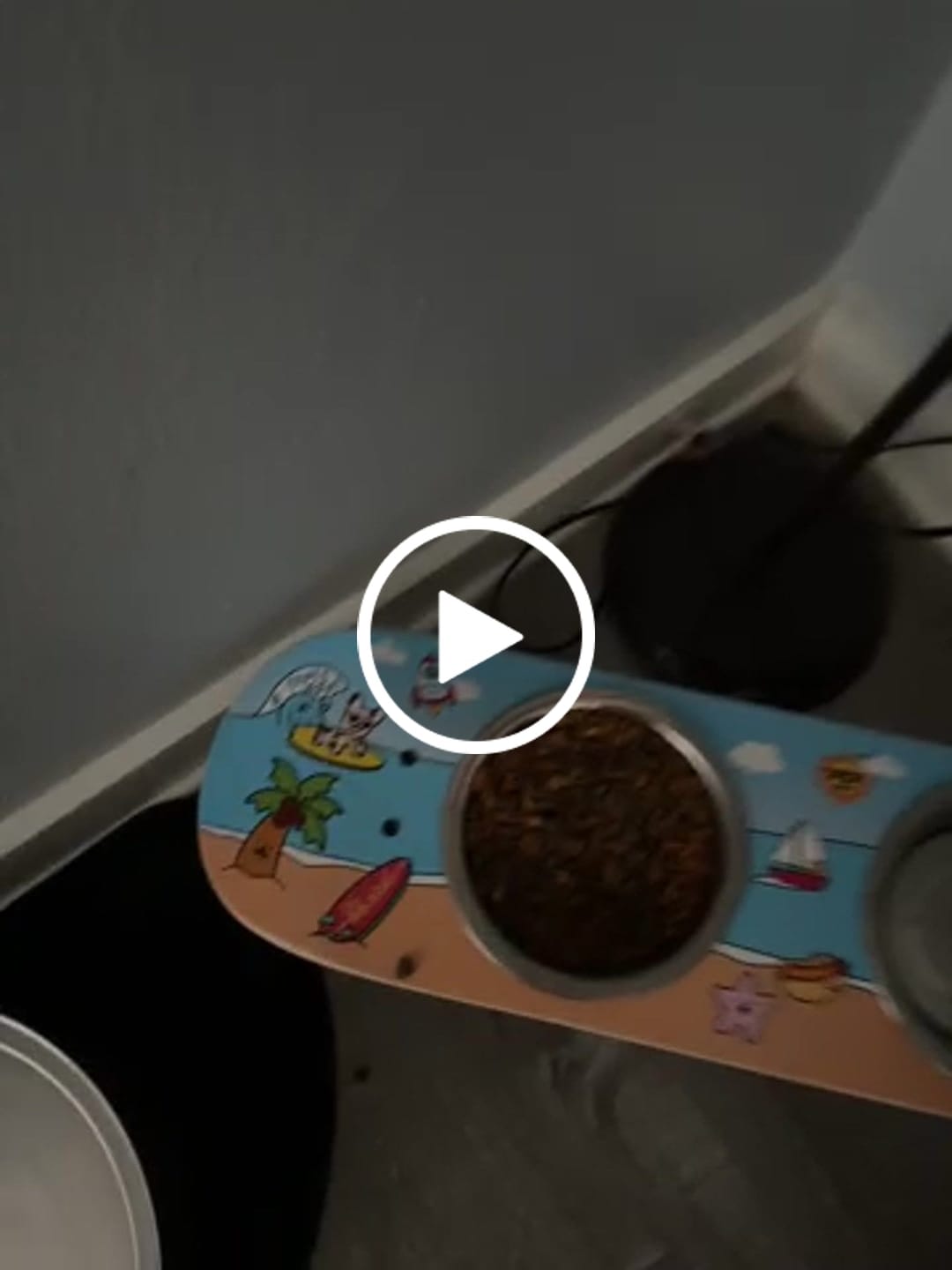 Customer video review of Surf City Skateboard Dog Bowl (Medium)
