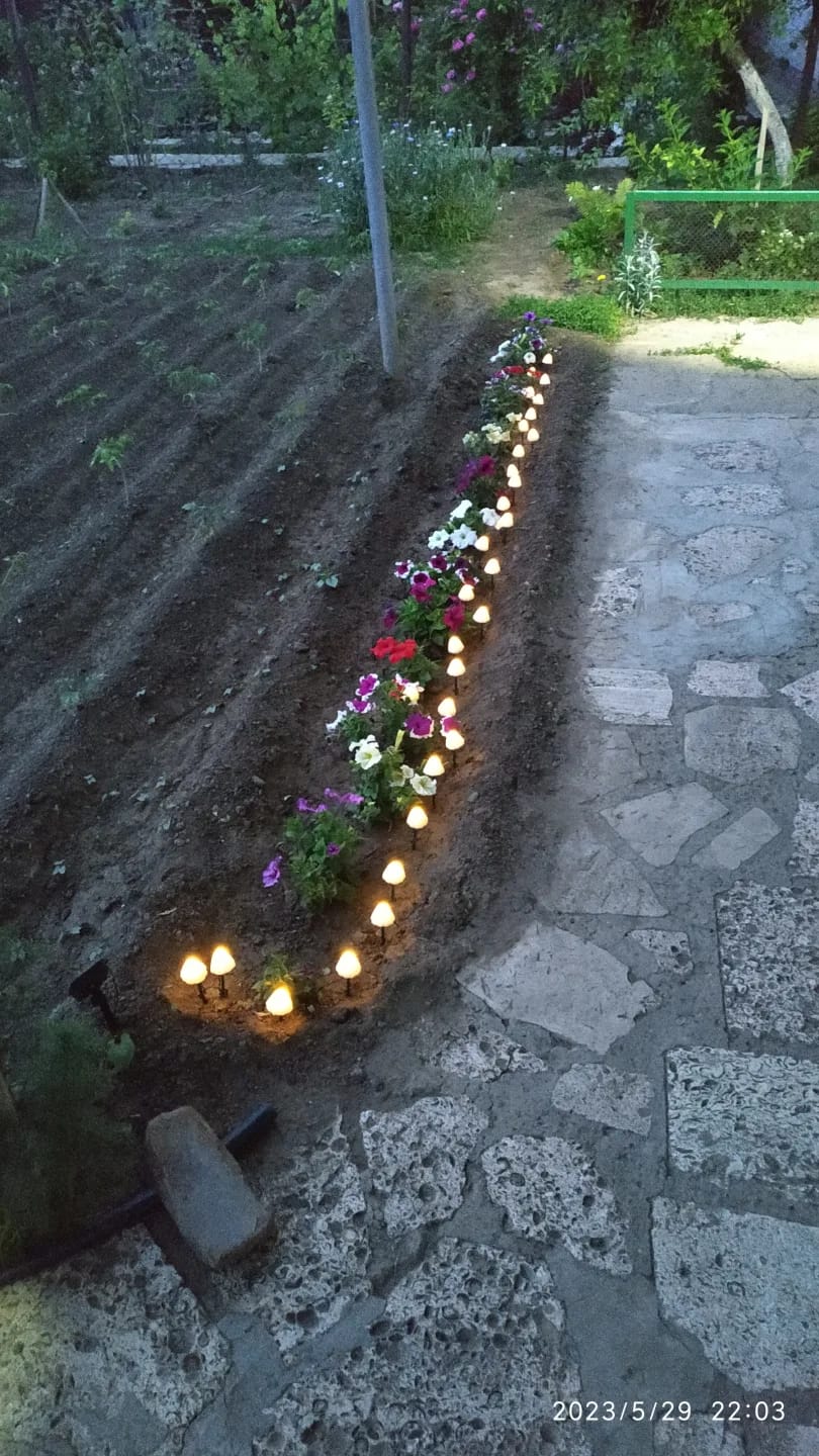 Customer photo review of Colourful String Lights for Garden, Solar Mushroom, 350 cm