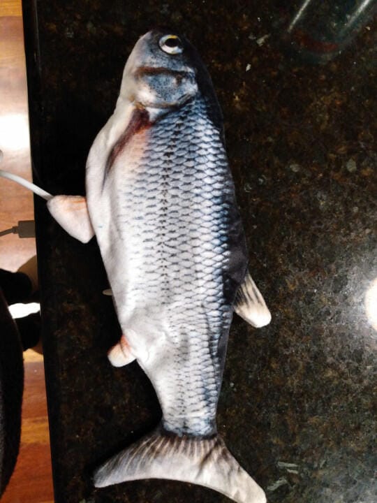 Customer photo review of Floppy Fish - Interactive Dog Toy